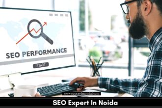 SEO Expert In Noida