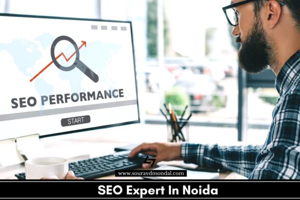 SEO Expert In Noida
